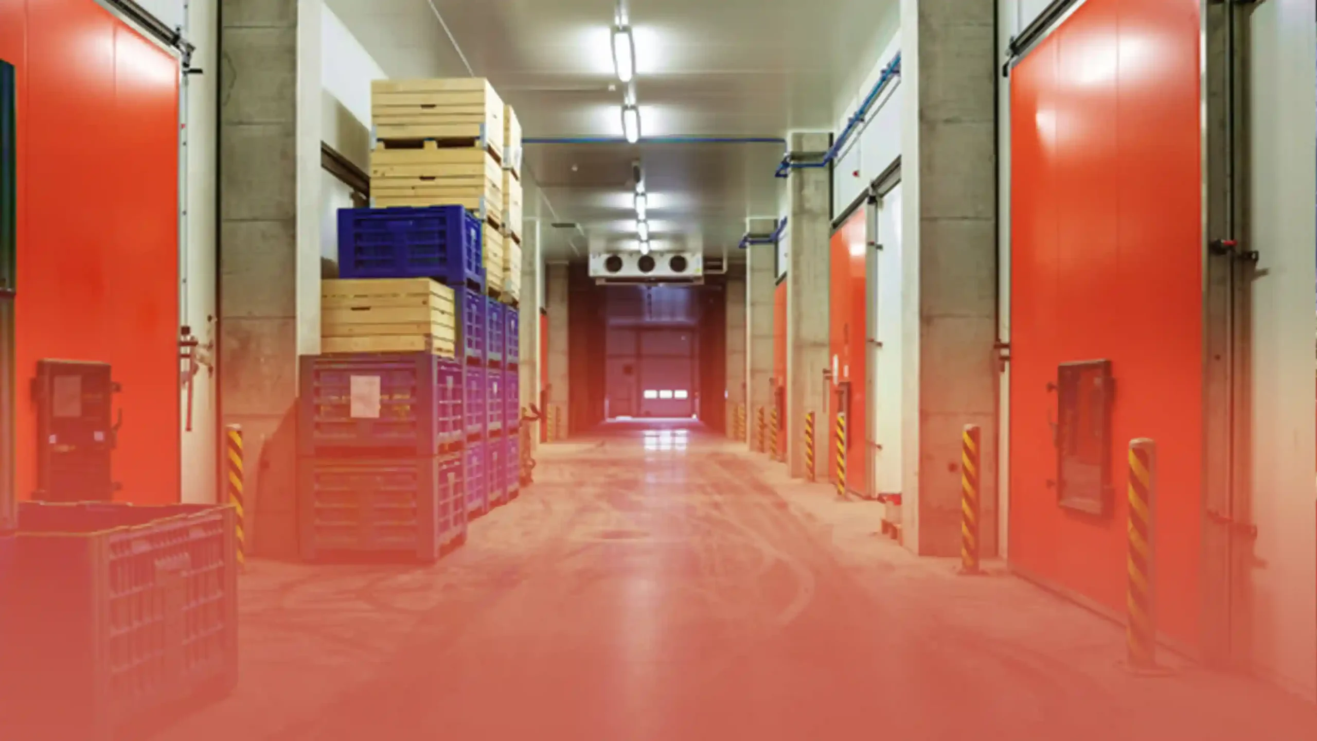 Interior of a temperature-controlled chiller room with stacked crates and red insulated doors.